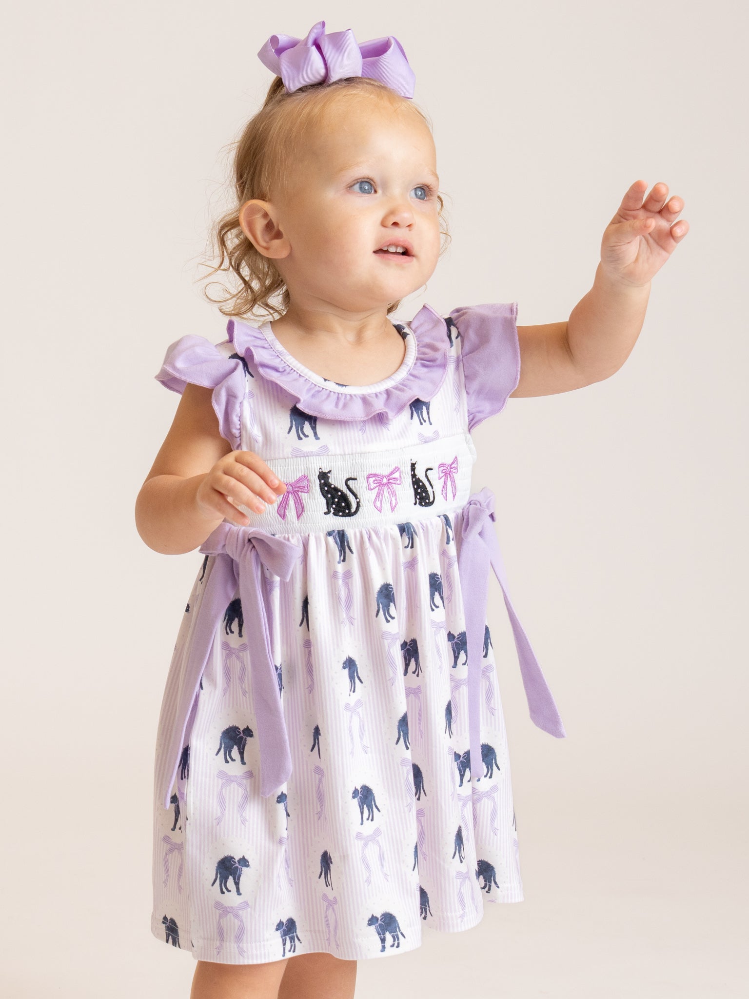 Halloween Whiskers Black Cat Embroidered Ruffle Dress